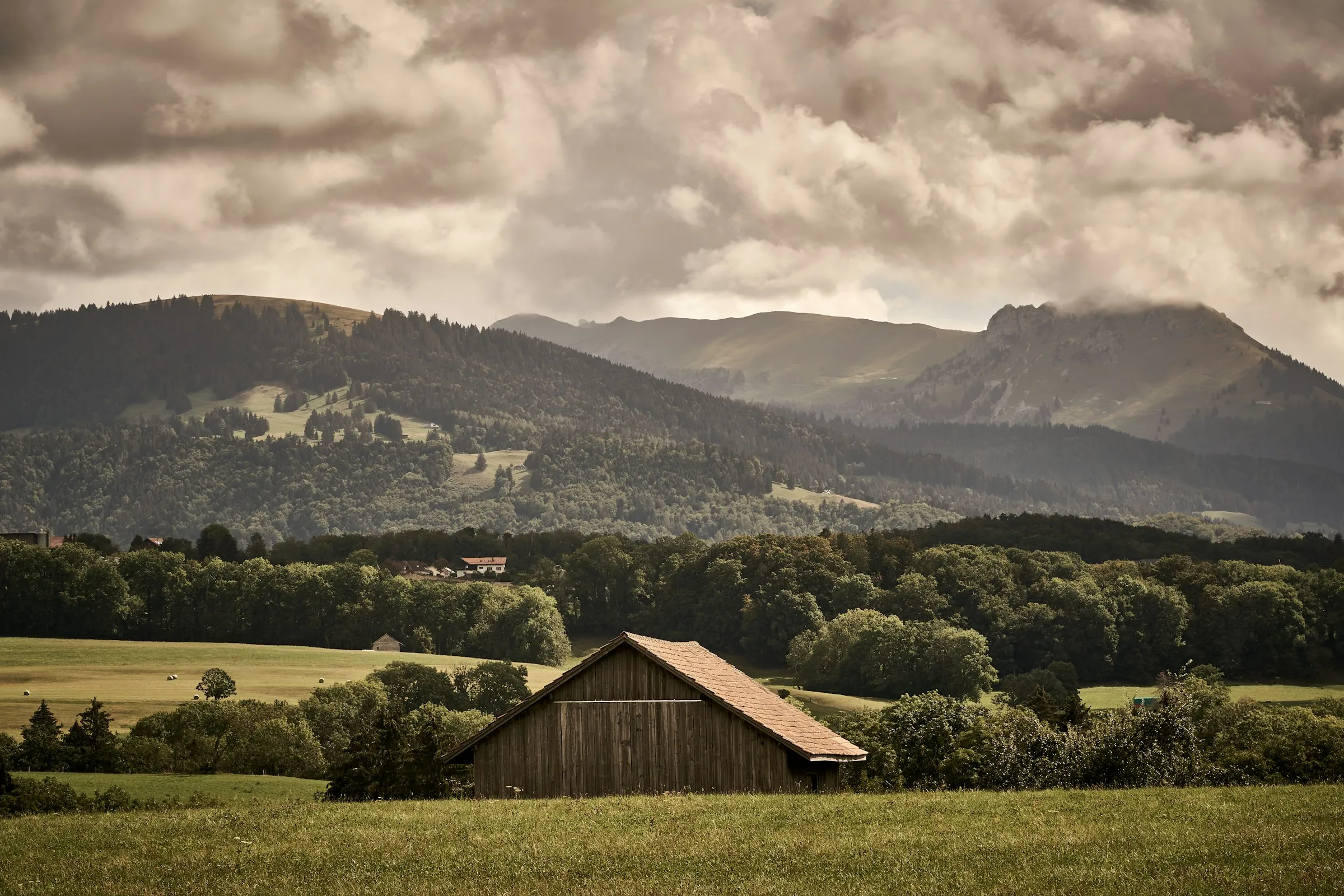 Wiese mit Scheune, Hecken und Waldrändern bei Attalens, dahinter die Freiburger Voralpen