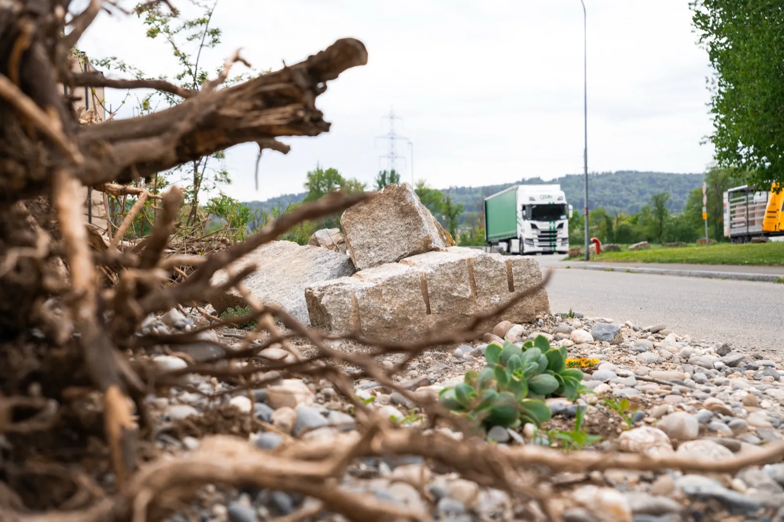 Igelfreundliche Fläche direkt neben einer Strasse mit Lastwagen